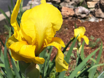 メアリー丘最終日・はにさん編