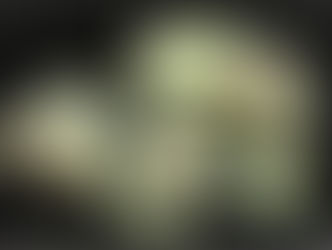 プラズマアゲート