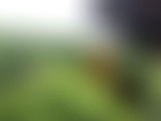 ささ丘解放のお知らせ