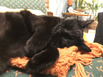 お金のwin-win計画