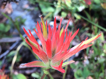 ルアン丘・アリアン編③(最終日)