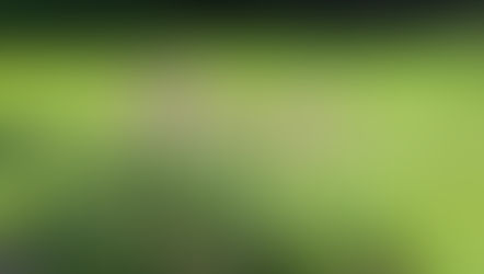 rosaさん丘解放・1日目