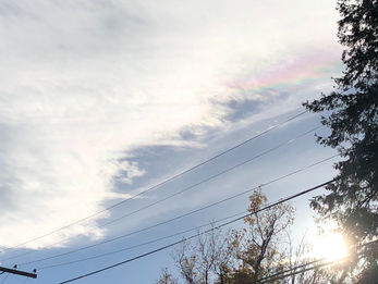 黄色い魔女さんリーディング・森のバランスを整える狼