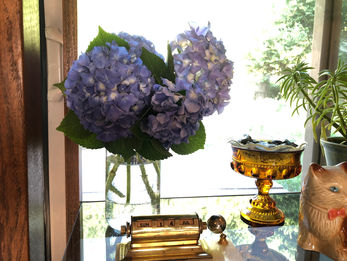 ゆぁたん丘・番外編の番外編(ゆぁたんさん)