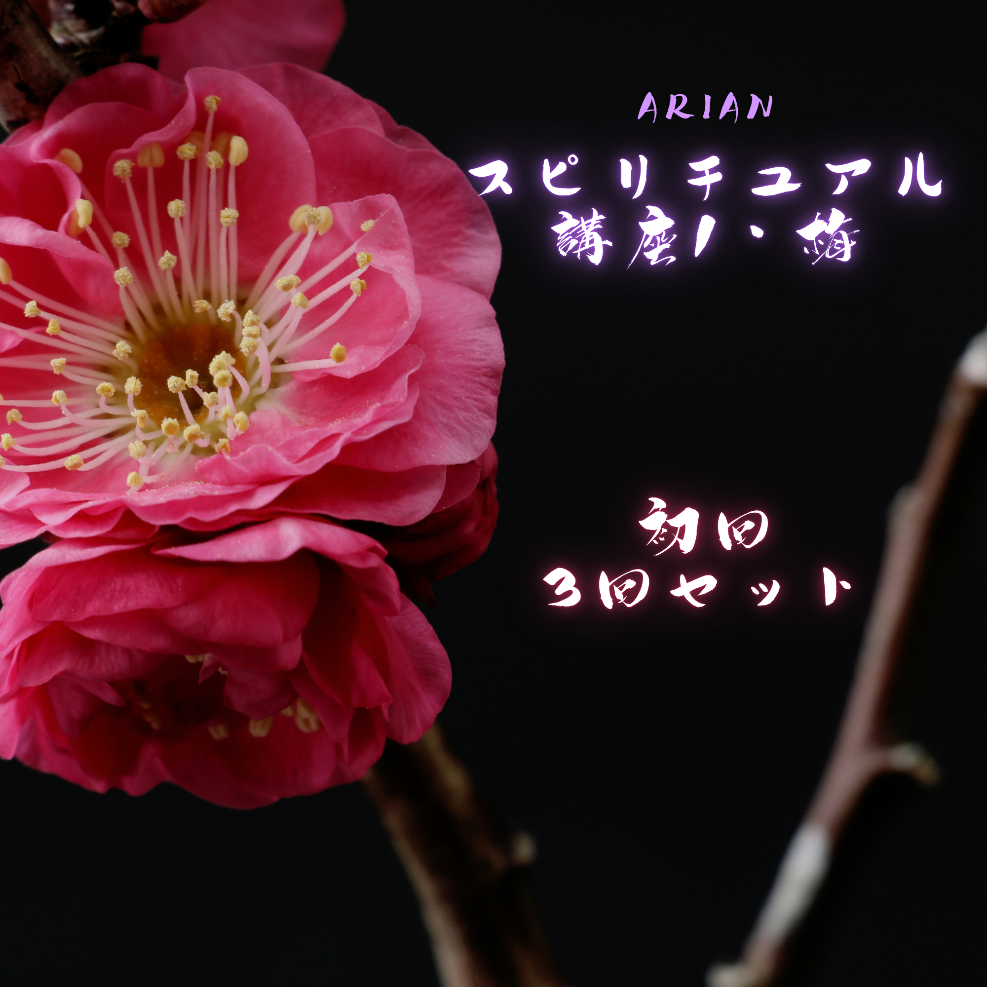スピリチュアル講座・梅(初回/3回セット)