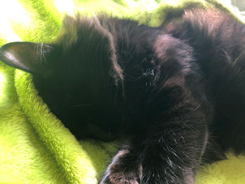 碧属(あおぞく)の青い町