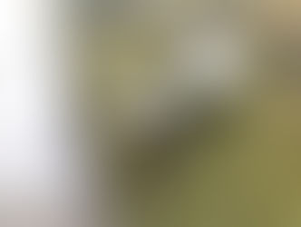 ゆぁたん丘・るんるん編