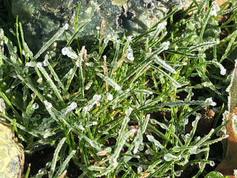 ゆぁたん丘・その後