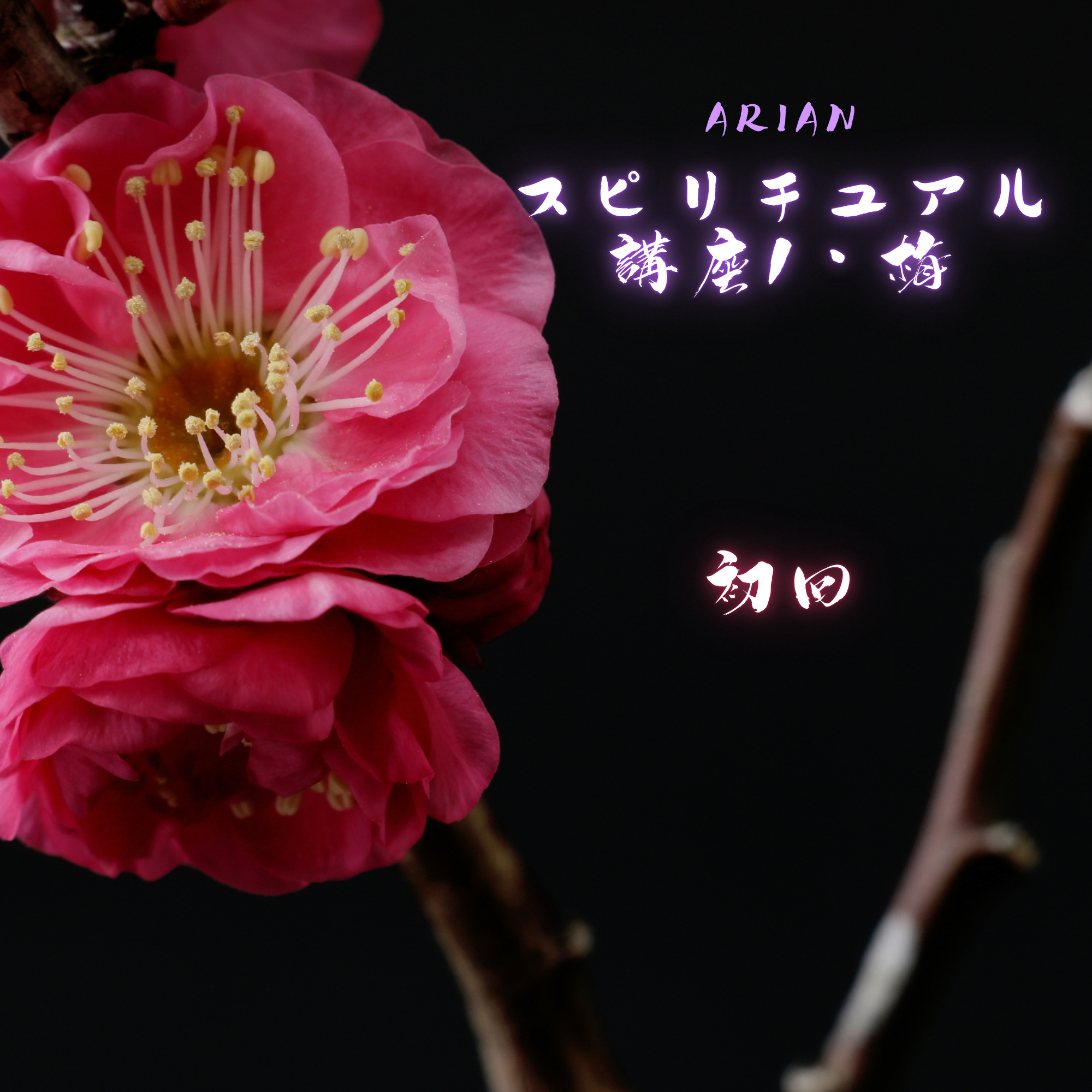 スピリチュアル講座・梅(初回)