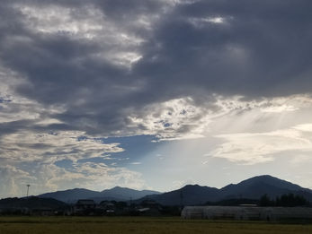 ルアン丘・はにさん編《その②最終》