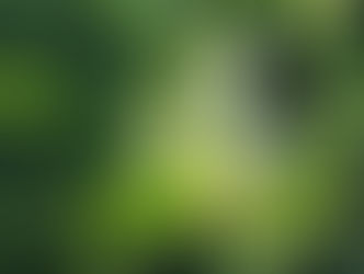 ルアン丘・ちゃあ編