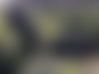 ねぷろぽこ丘4日目・皆様編