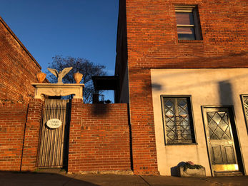 Tお父さん丘:中型犬ロミオ