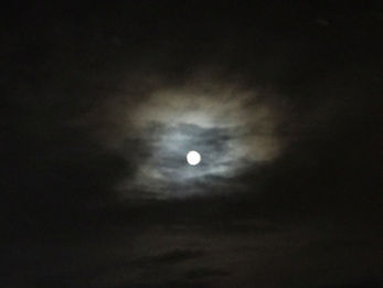 kanonさんリーディング/レムリア?