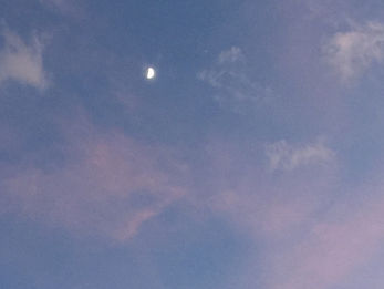 rosaさんの丘・幸せになるタッジーマッジー