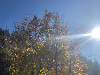 ゆぁたん丘解放スタート!