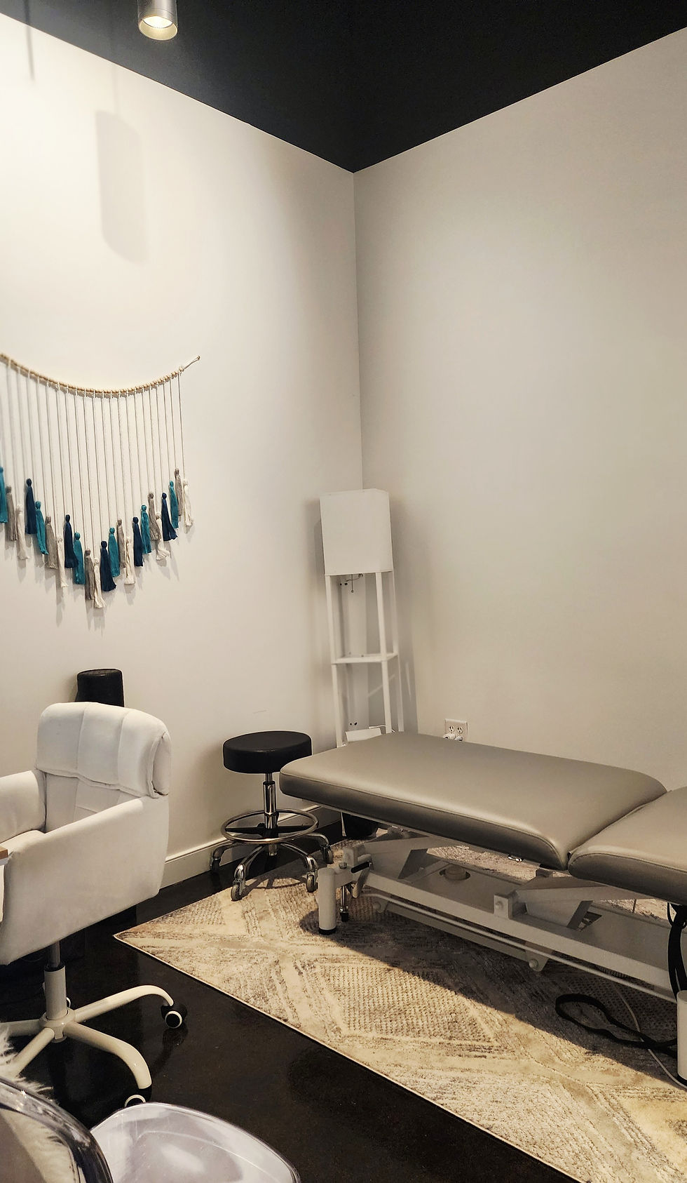 RVA Holistic PT Of Virginia