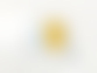 11月21日（金）と11月22日（土）は臨時休診となります。