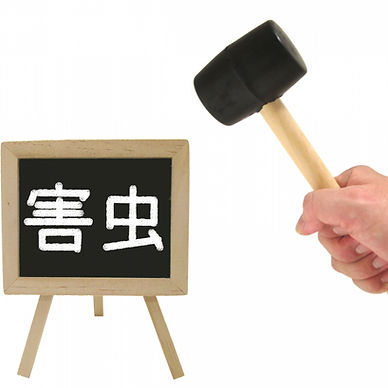 害虫駆除