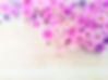 ピンクの花