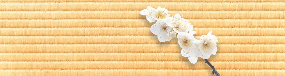 畳と桜