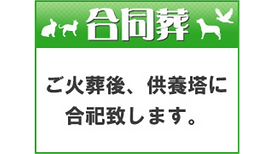 合同葬