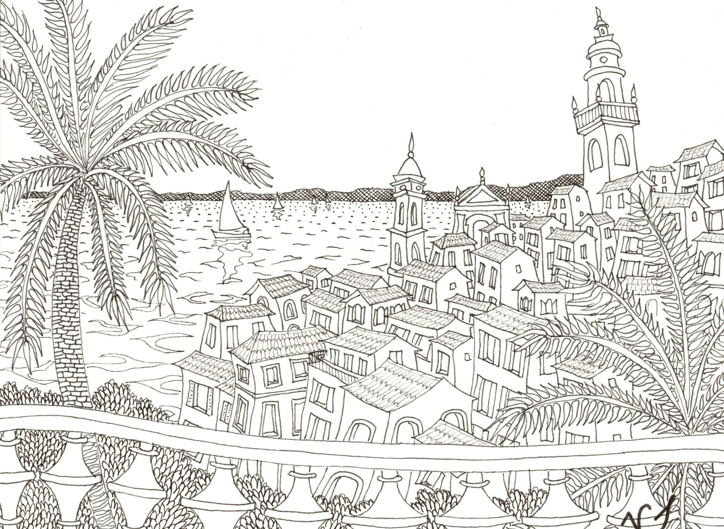 Dessin encre - Study Palmarea Menton - Valérie Lacalmontie
