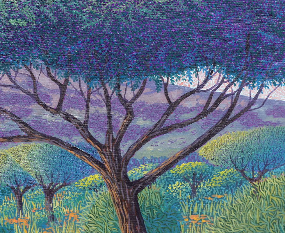 Tronc et branches d'un acacia stylisé dans la savane africaine – détail