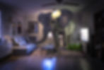 Big elephant inside living room