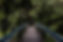 tim-swaan-45717.jpg