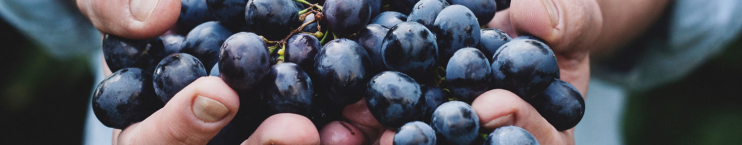 The fruits of health