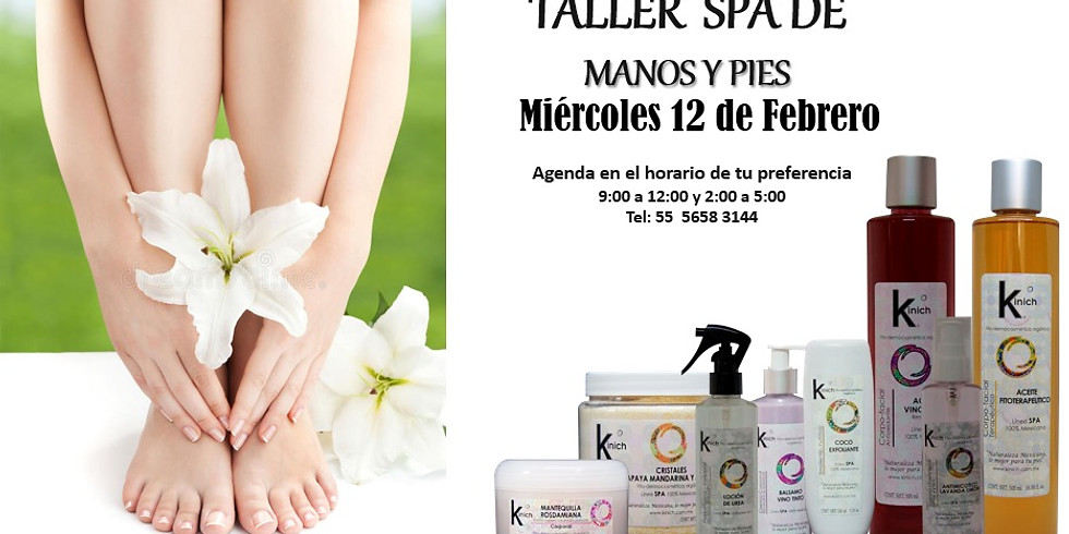 TALLER SPA DE MANOS Y PIES