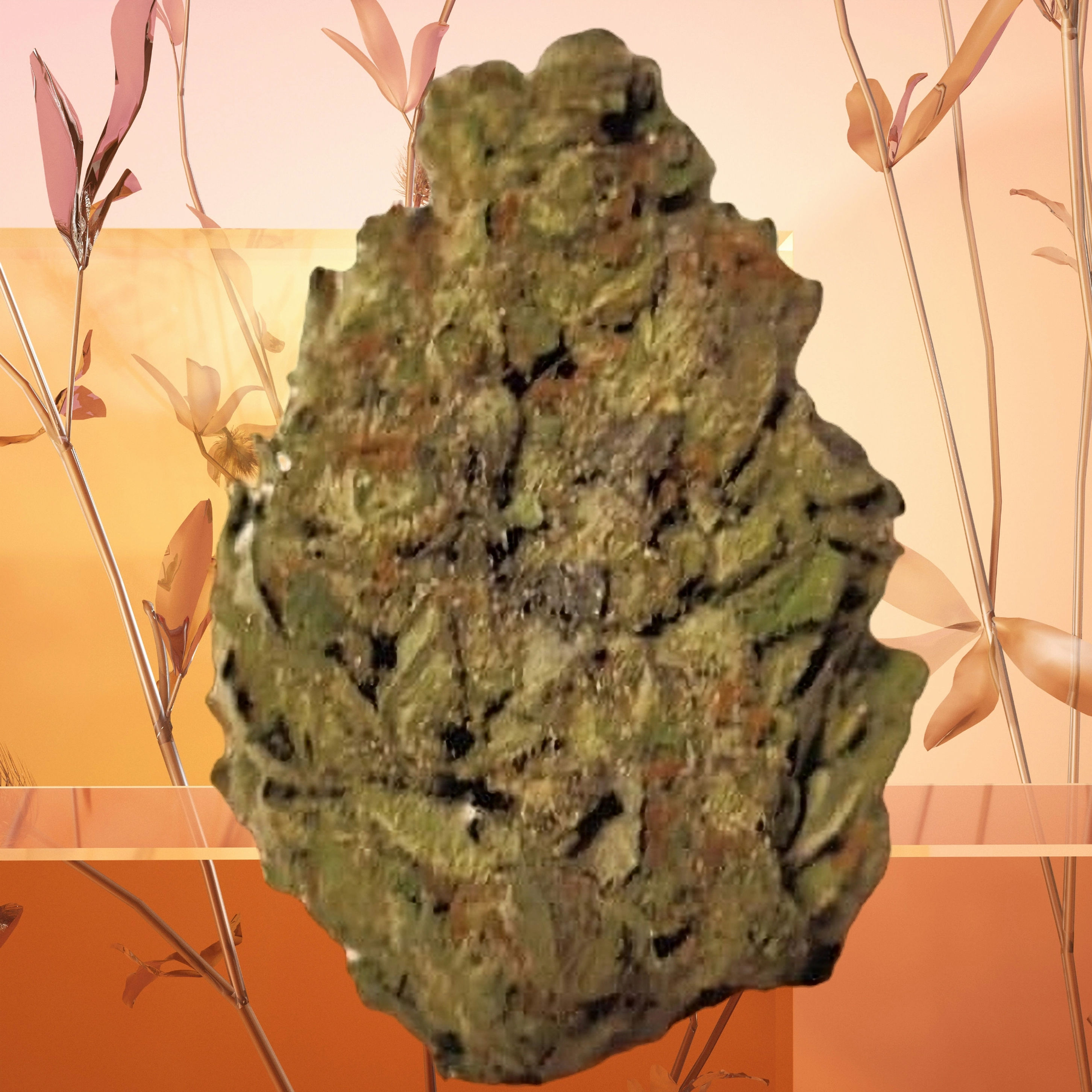 'CBD and More' THCa Sativa Flower (7g) (Bangkok Purple)