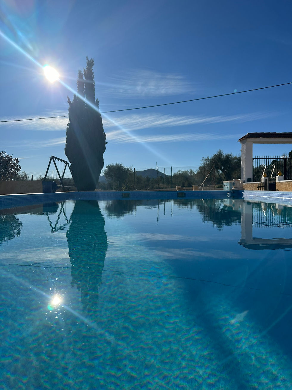 Elevate Retreat — Challenge Yourself, Transform Your Life