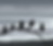 Athenas Owls BG.png