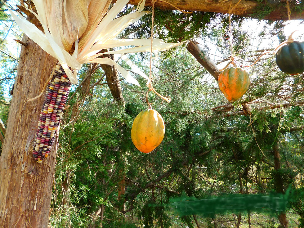 Sukkah1