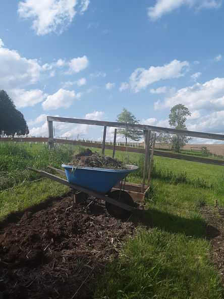 Wheelbarrow.jpg