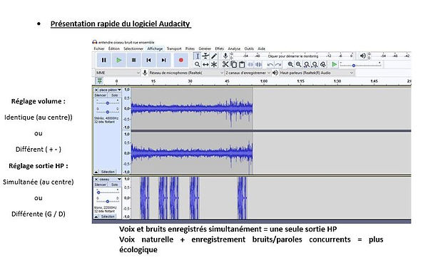 audacity.JPG