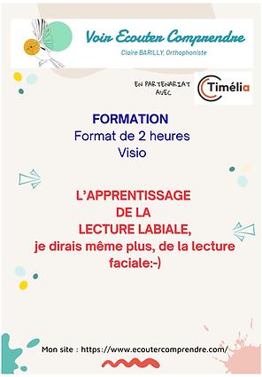 Webinaire LL.png