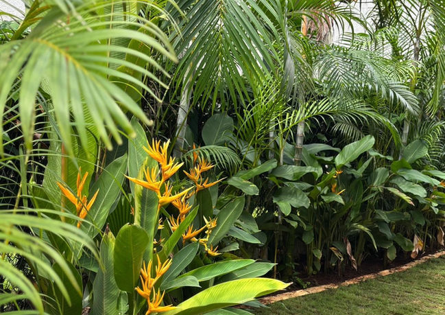 gardening contractors