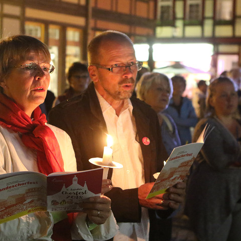 Chorverband Sachsen-Anhalt, Chor