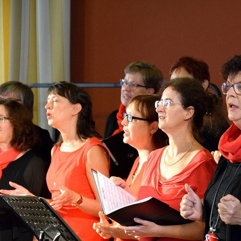 Chorverband Sachsen-Anhalt, Chor