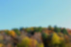 Gatineau Park Viewpoint in Fall.JPG