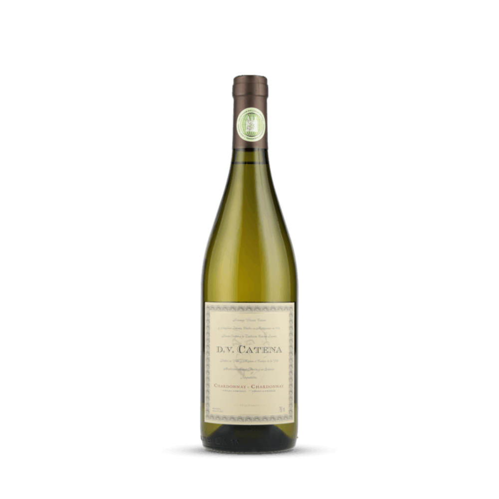 DV Catena Chardonnay-Chardonnay 2024 (Catena Bodega y Viñedos)