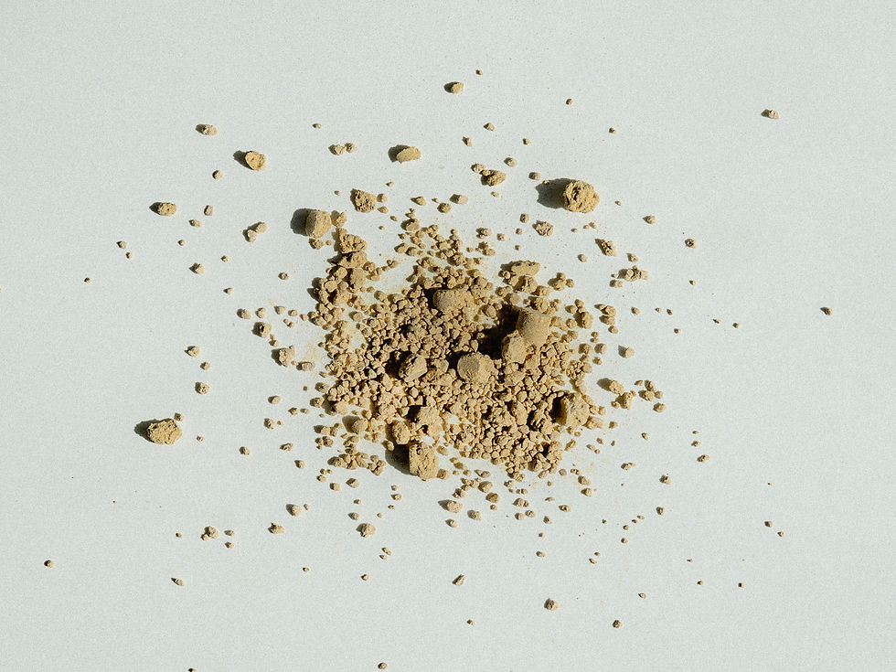 DSC05172 © the blank space studio.jpg