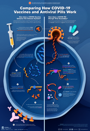 Comparing How COVID-19 Vaccines and Antiviral Pills Work_POSTER_VC_4.png