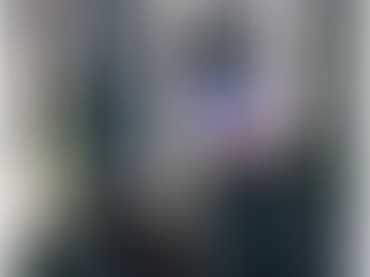 Dead Woman Walking … and Voting. How volunteers are helping clean up Michigan voter rolls