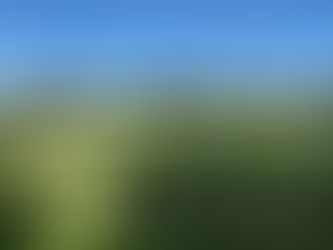 Remembering the Fallen