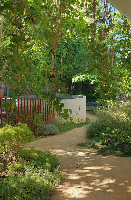DSCF0044.jpg
