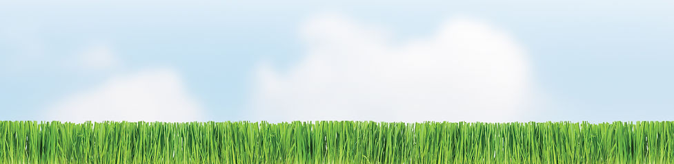 SLC Logo pic only (RGB).jpg